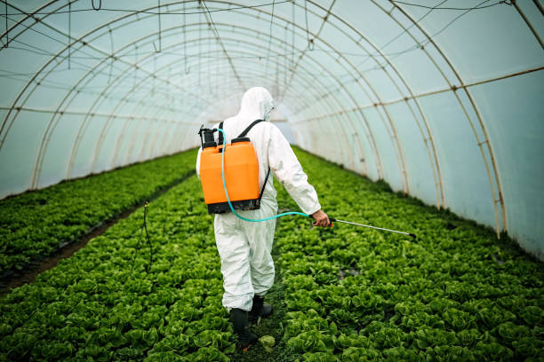 Best Best Pest Control Companies  in Oakwood, OH