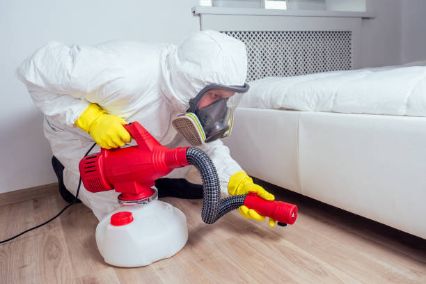 Best Emergency Pest Control  in Oakwood, OH