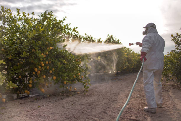 Best Pest Control Near Me in Oakwood, OH
