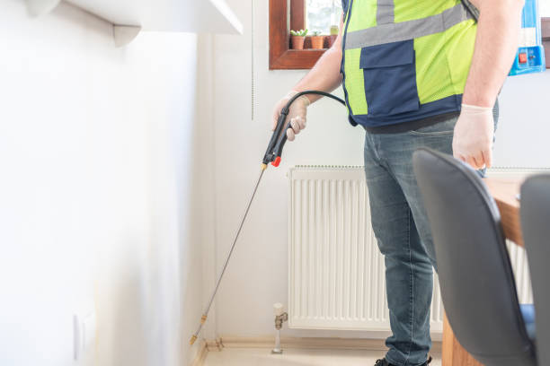 Best Ant Control Services  in Oakwood, OH