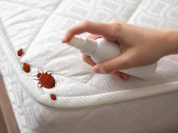 Trusted Oakwood, OH Pest Control Experts
