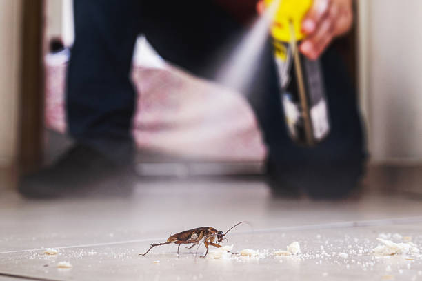 Best Cockroach Control Services  in Oakwood, OH