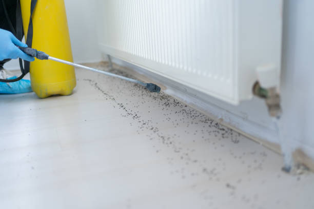 Best Best Pest Control Near Me  in Oakwood, OH