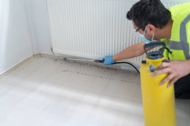 Best Mosquito Control Services  in Oakwood, OH